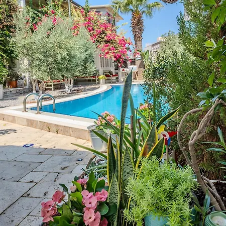 Séjour chez l'habitant Morisi Karaburun (Izmir)