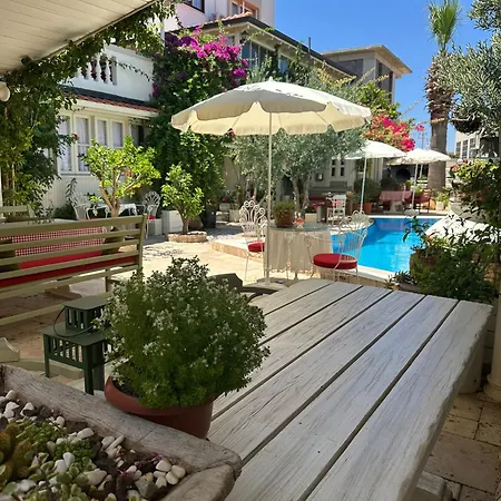 Morisi * Karaburun (Izmir)
