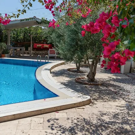Morisi Homestay *