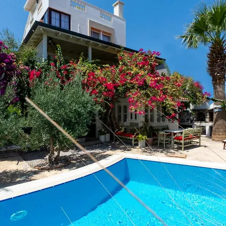Morisi Homestay *