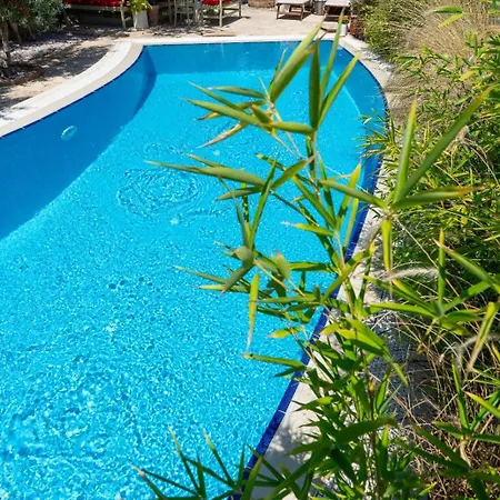 Morisi Homestay *